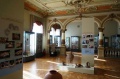 Выставка «Доисторические насекомые в янтаре» откроется в Краснодаре.
