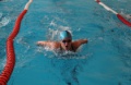 Краснодарские пловцы выиграли Кубок края по плаванию